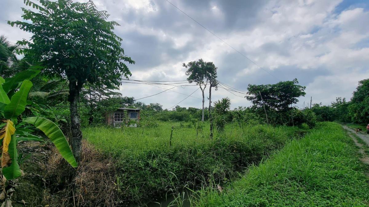 Vendo Terreno Agrícola en Milagro Vía a Naranjito, Ings. Guayas — imagen 6