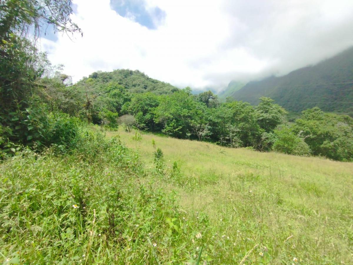Terreno en Mitad del Mundo — imagen 6