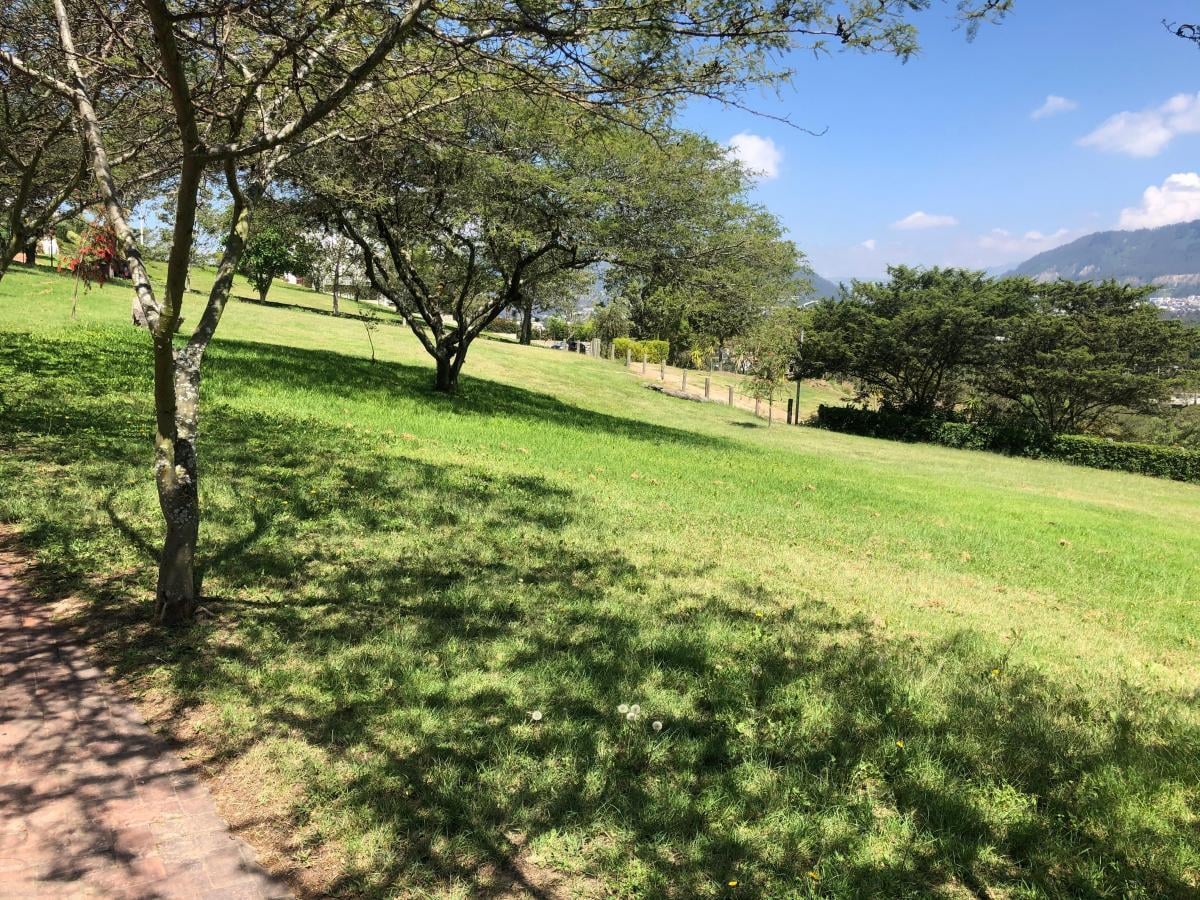 Cumbaya Terrenos en Venta en Urbanizacion Exclusiva Vista Espectacular — imagen 10
