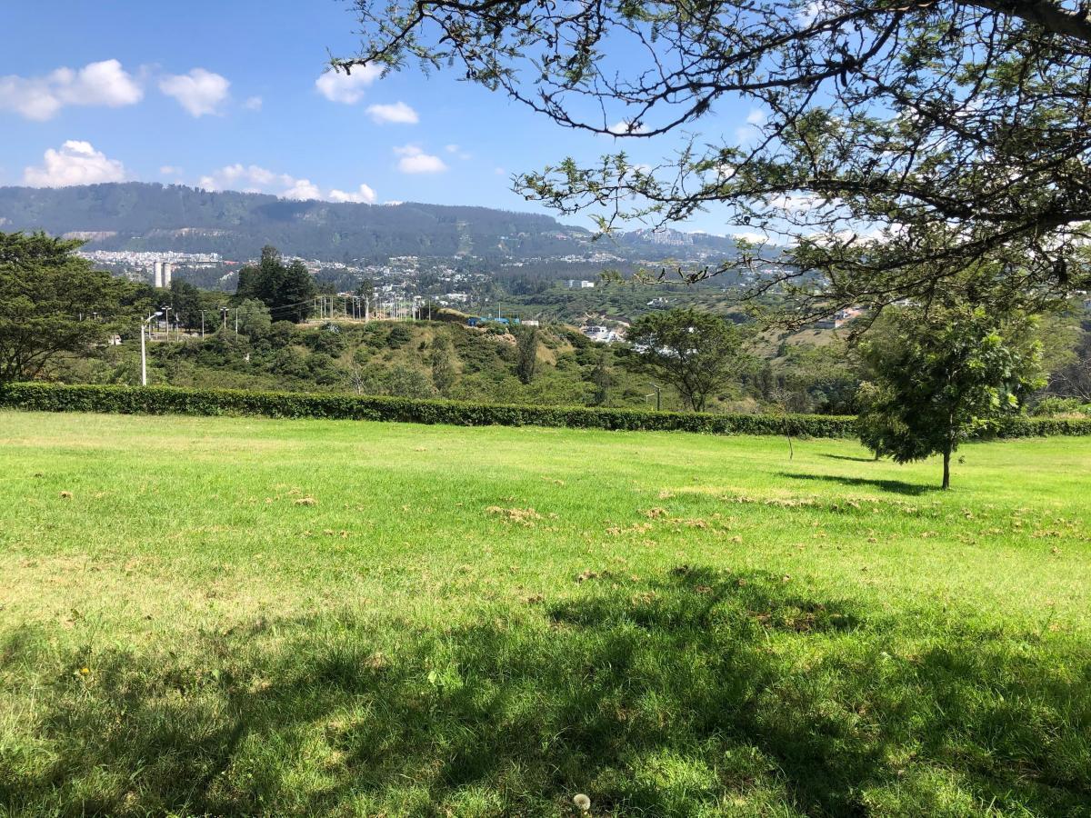 Cumbaya Terrenos en Venta en Urbanizacion Exclusiva Vista Espectacular — imagen 9