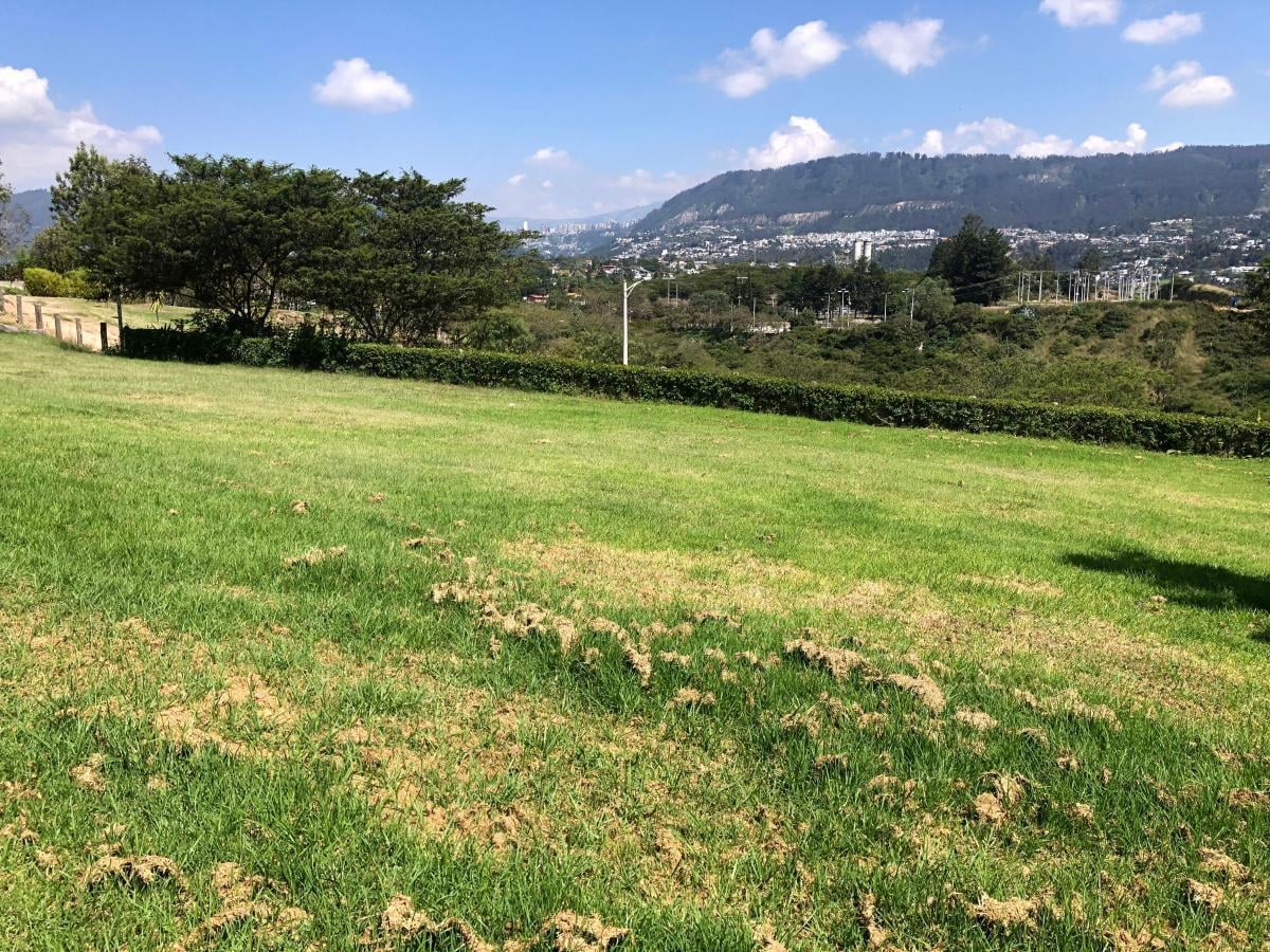 Cumbaya Terrenos en Venta en Urbanizacion Exclusiva Vista Espectacular — imagen 8