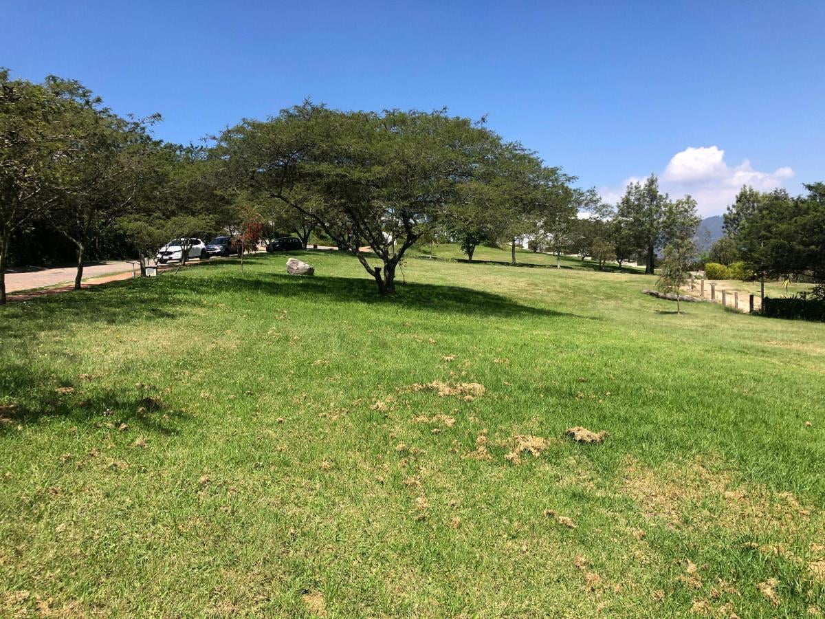 Cumbaya Terrenos en Venta en Urbanizacion Exclusiva Vista Espectacular — imagen 7