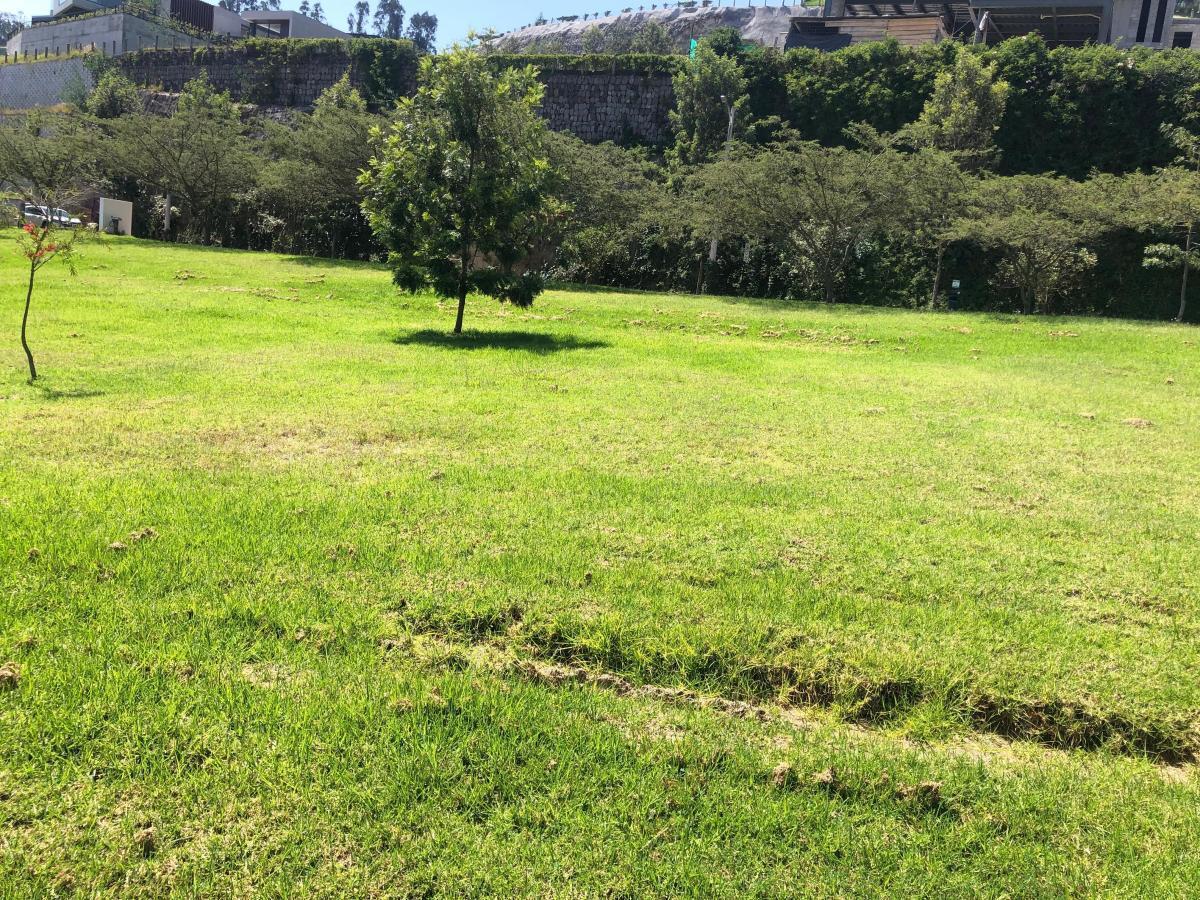 Cumbaya Terrenos en Venta en Urbanizacion Exclusiva Vista Espectacular — imagen 6