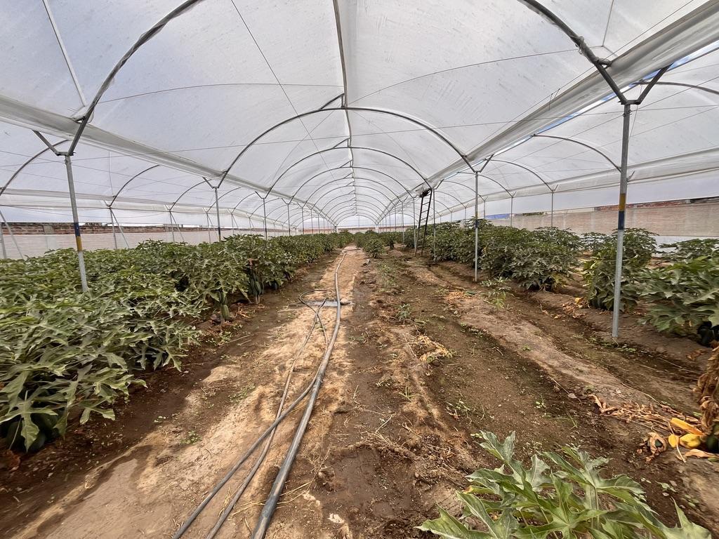 Terreno 2117 m² de Venta en Puembo Sector La Gruta — imagen 8