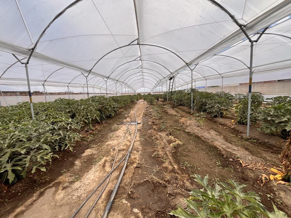 Terreno 2117 m² de Venta en Puembo Sector La Gruta — imagen 7