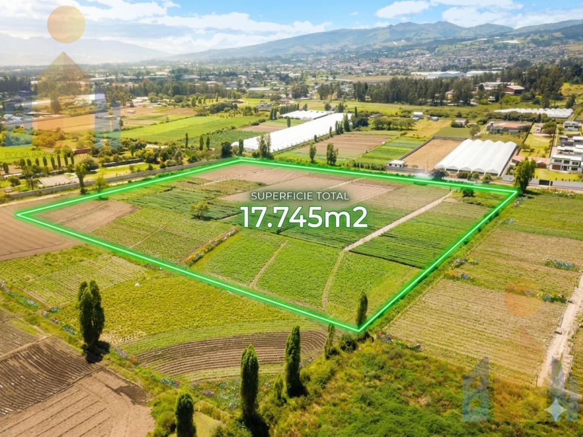 Terreno - Tababela — imagen 8