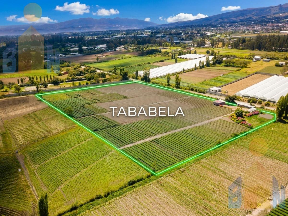 Terreno - Tababela — imagen 6