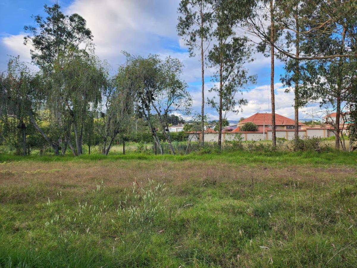 En Venta Terreno Ideal Para Proyecto Inmobiliario en Challuabamba, Azuay — imagen 10