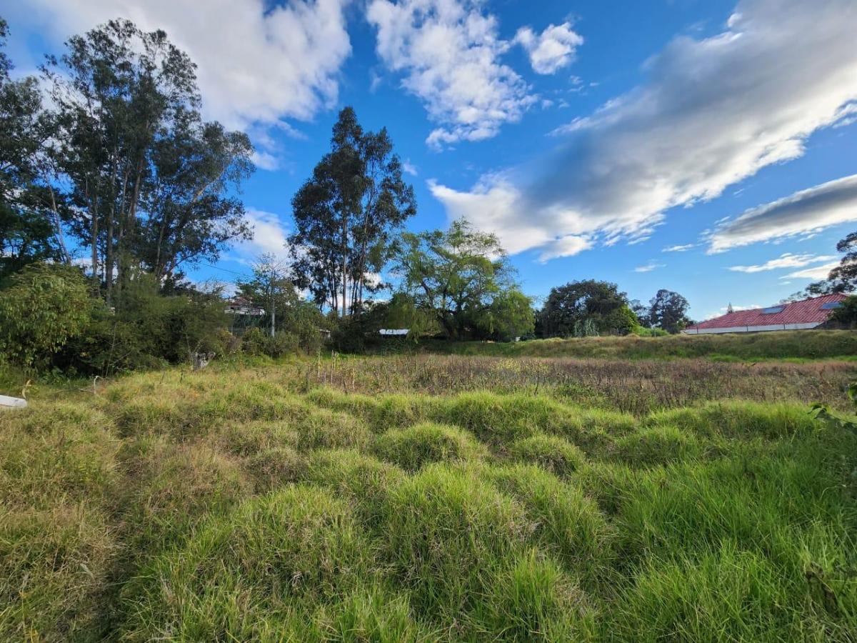 En Venta Terreno Ideal Para Proyecto Inmobiliario en Challuabamba, Azuay — imagen 9