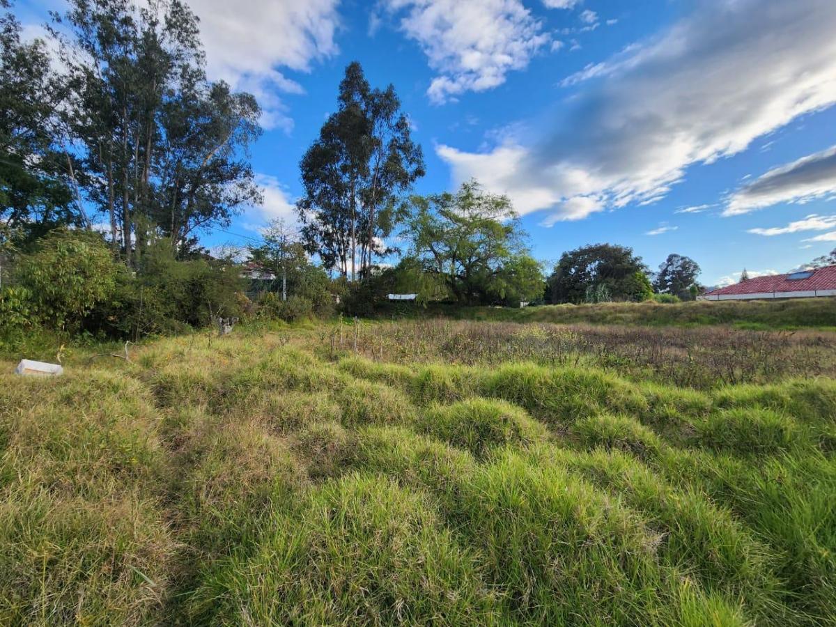 En Venta Terreno Ideal Para Proyecto Inmobiliario en Challuabamba, Azuay — imagen 8