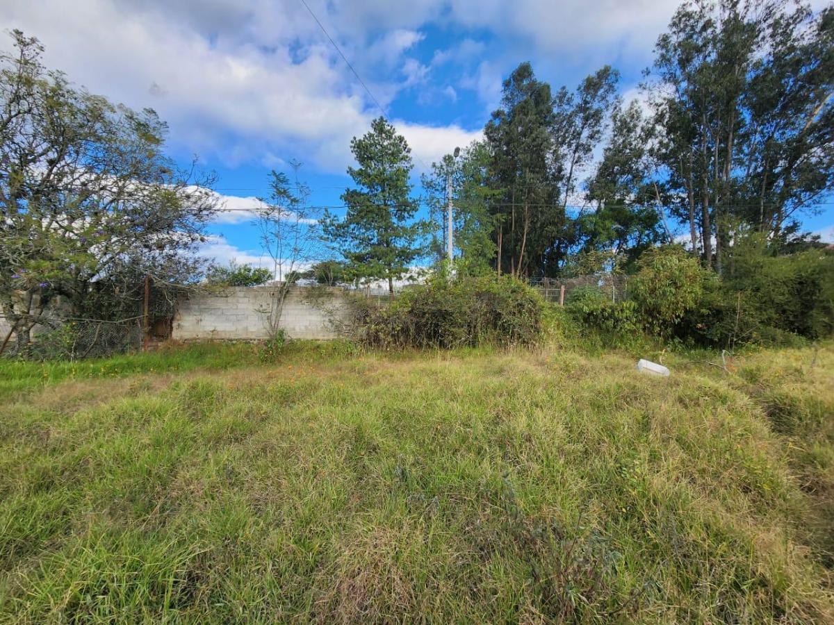 En Venta Terreno Ideal Para Proyecto Inmobiliario en Challuabamba, Azuay — imagen 7