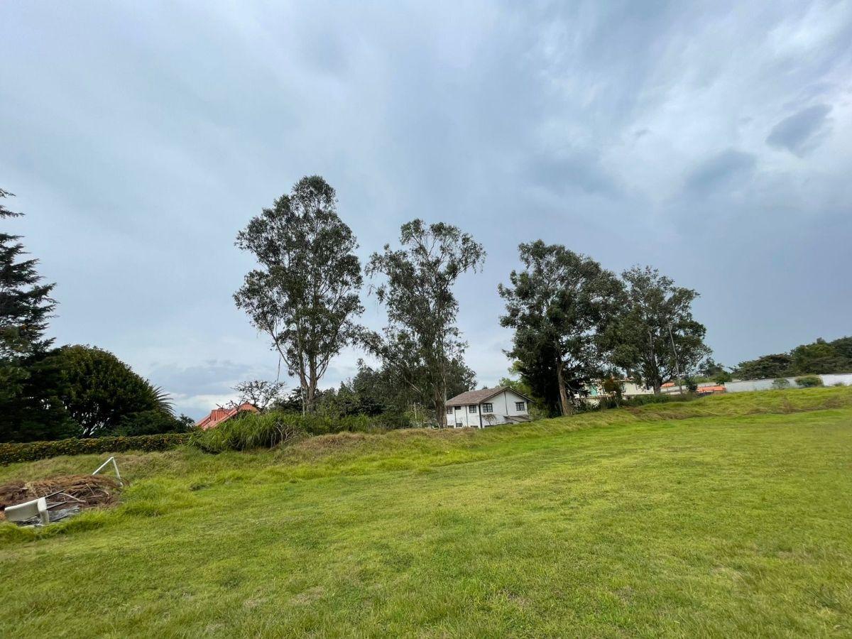Terreno de 1881 m² en Venta en Puembo con Áreas Verdes — imagen 4
