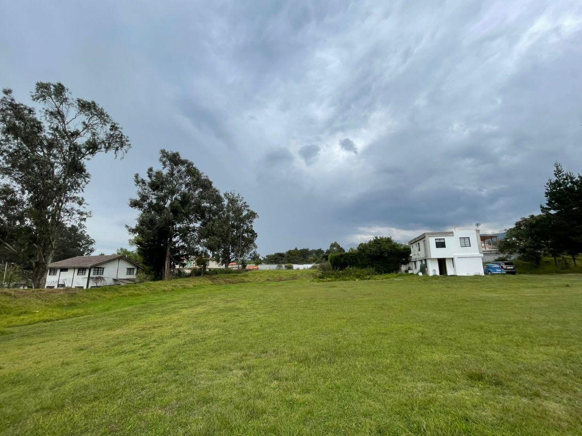 Terreno de 1881 m² en Venta en Puembo con Áreas Verdes — imagen 3