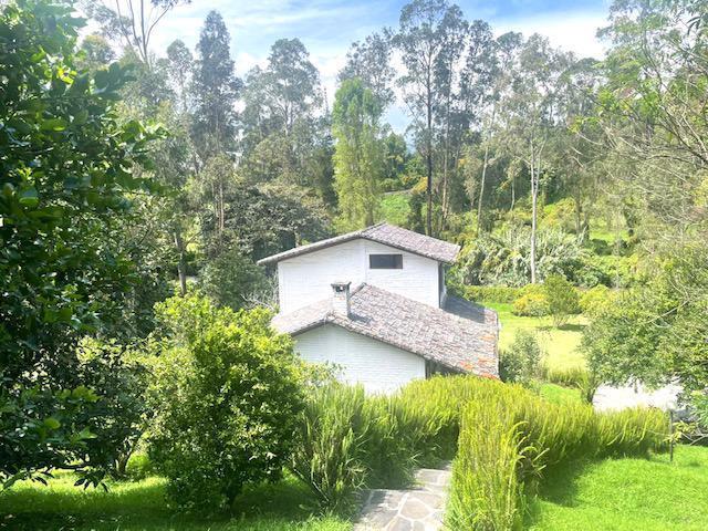 Vs Sector Capelo, Venta Propiedad 12036 m² — imagen 10