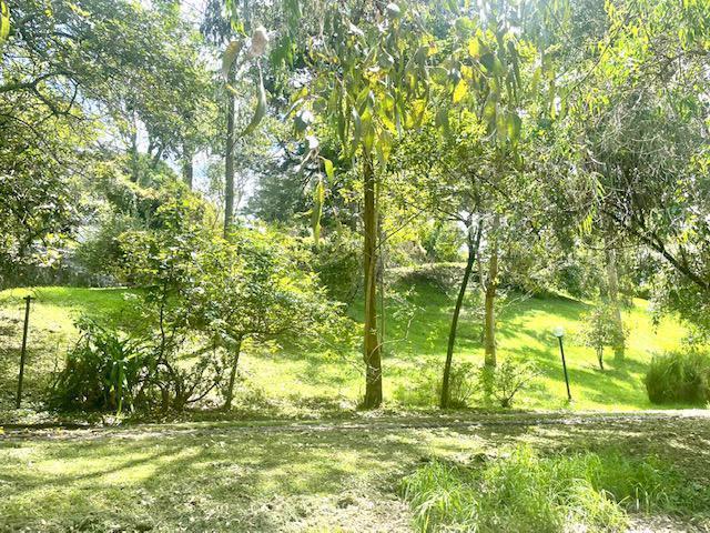 Vs Sector Capelo, Venta Propiedad 12036 m² — imagen 8