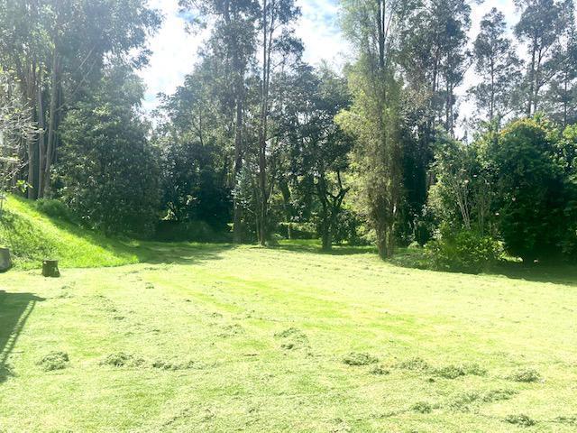 Vs Sector Capelo, Venta Propiedad 12036 m² — imagen 7