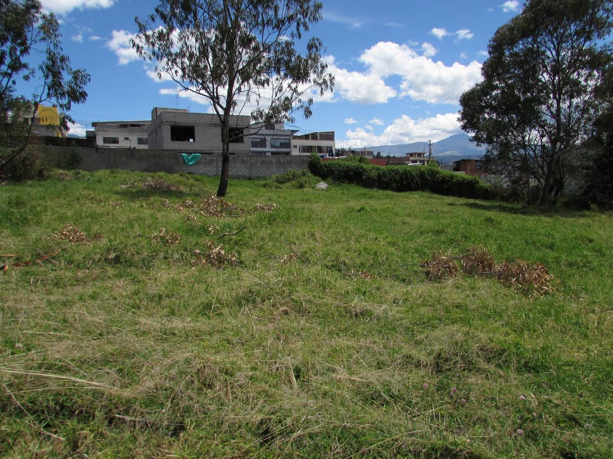 Terreno Sector Poncho Verde El Colibrí 5.915 m² — imagen 10