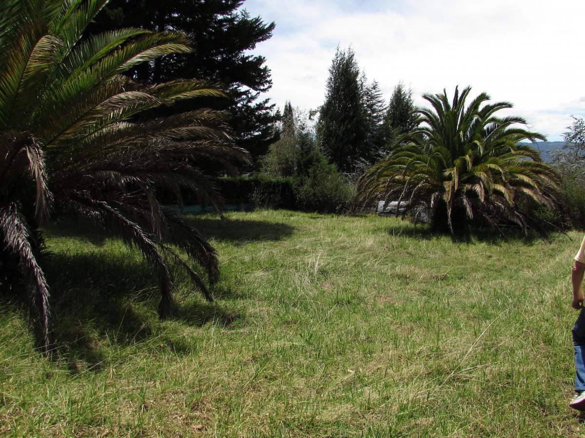 Terreno Sector Poncho Verde El Colibrí 5.915 m² — imagen 6