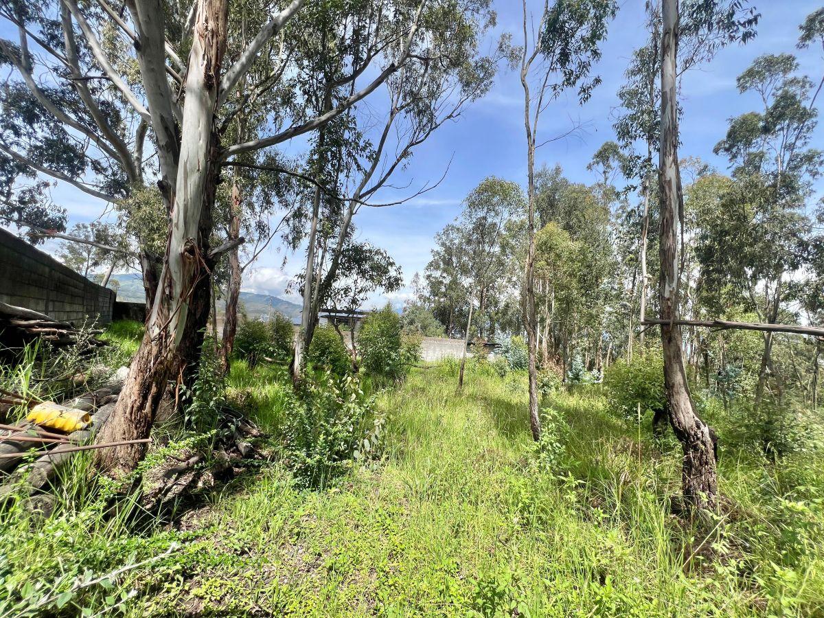Terreno de Venta en Pifo 751 m² Ciudadela Wilson — imagen 7