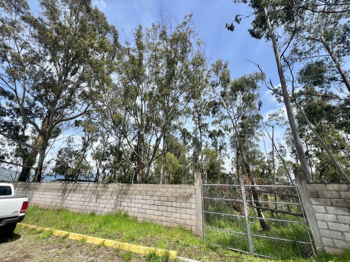 Terreno de Venta en Pifo 751 m² Ciudadela Wilson — imagen 5