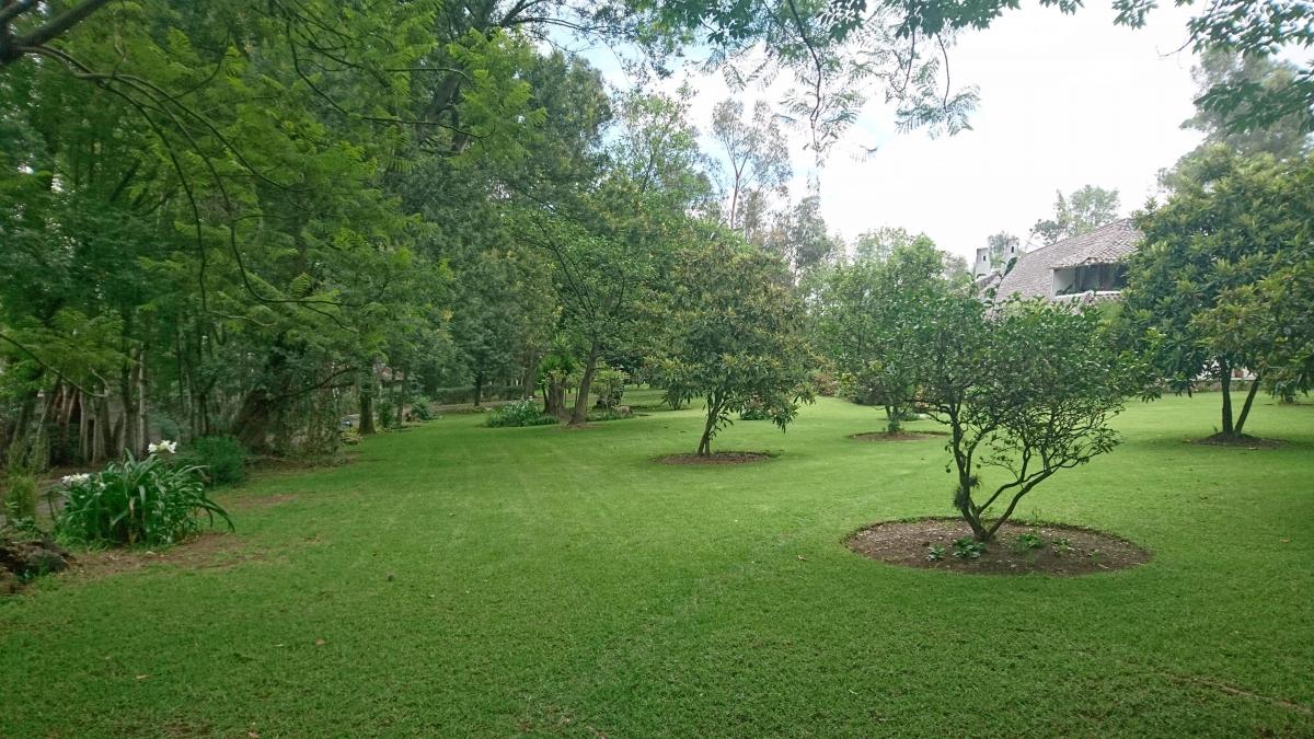Venta de Terreno Plano Para Vivienda, Colegio, Plaza Comercial de 20000 m² — imagen 9