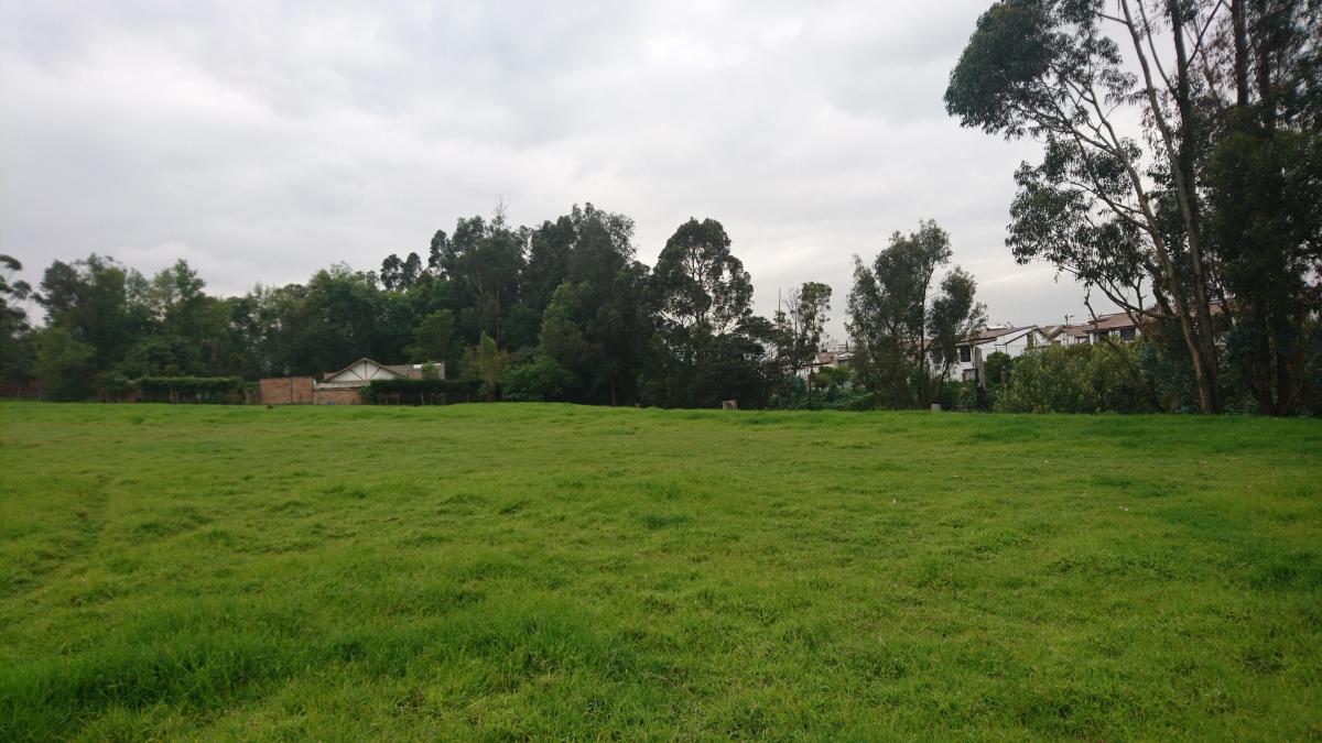 Venta de Terreno Plano Para Vivienda, Colegio, Plaza Comercial de 20000 m² — imagen 8