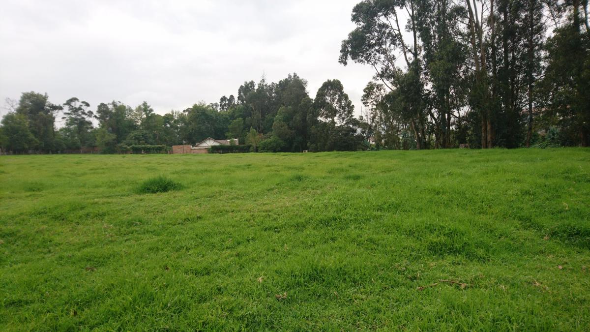 Venta de Terreno Plano Para Vivienda, Colegio, Plaza Comercial de 20000 m² — imagen 7