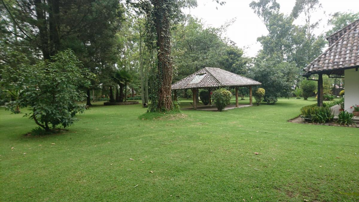 Venta de Terreno Plano Para Vivienda, Colegio, Plaza Comercial de 20000 m² — imagen 6