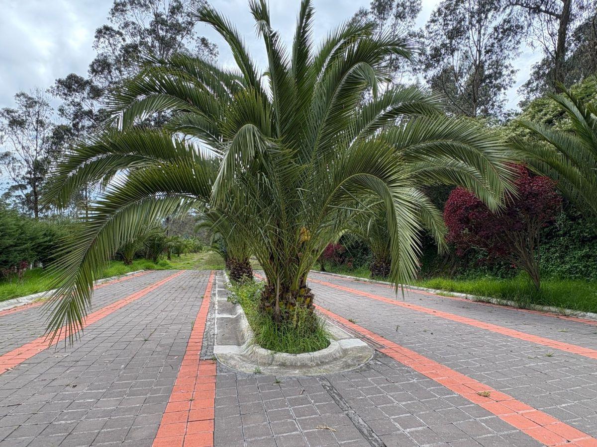 Terreno de Venta en Urbanizacion Montecarlo — imagen 9
