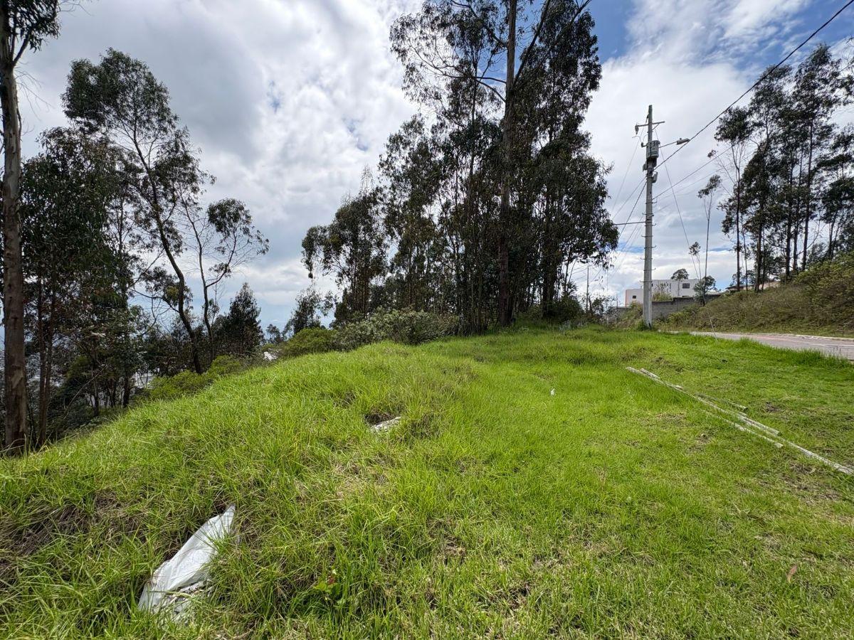 Terreno de Venta en Urbanizacion Montecarlo — imagen 6