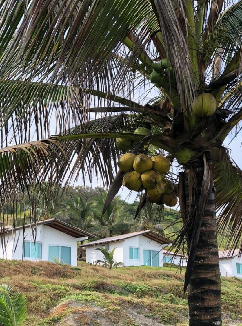 Terreno en Venta. Oportunidad Única de Inversión Frente Al Mar, Manabí — imagen 2