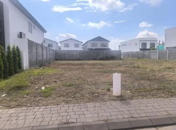 Terreno en Venta, Isla Celeste Babor Maxb, Guayas — imagen 2