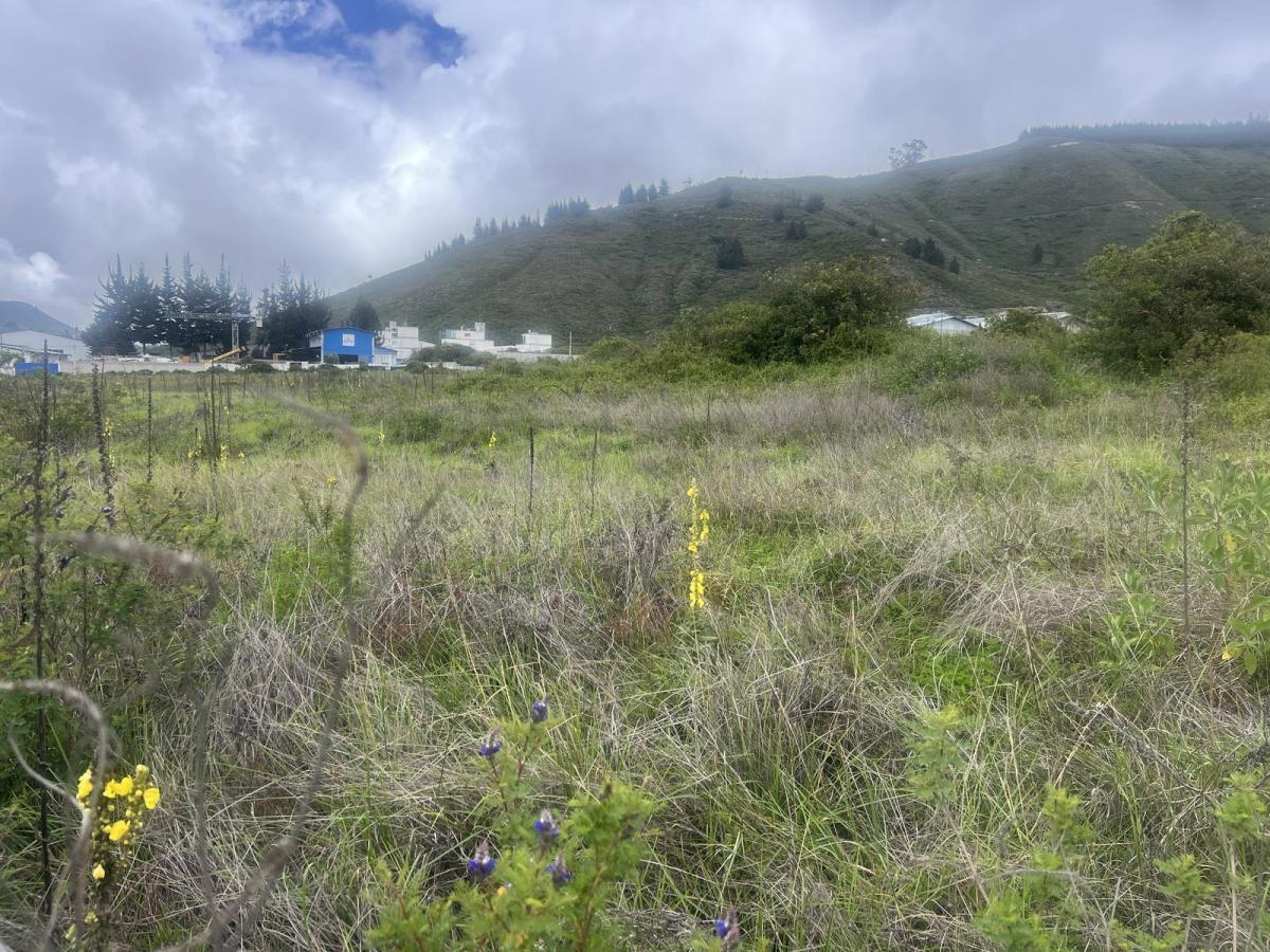 Mitad del Mundo Terreno de Venta Industrial — imagen 2