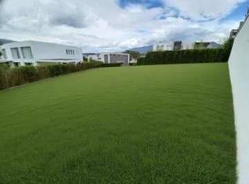 Hermoso Terreno de Venta en Cumbayá! — imagen 2