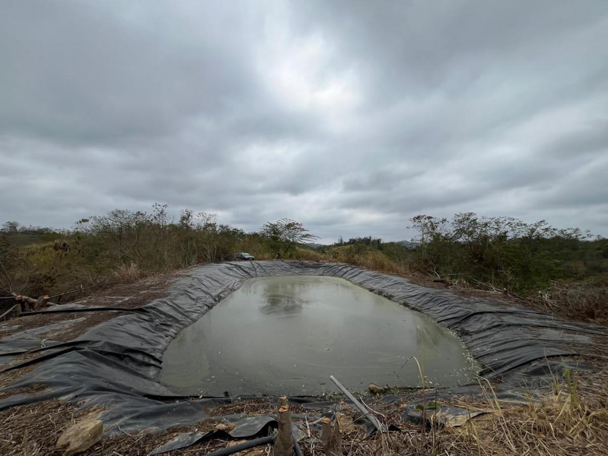 Vendo Terreno Agroforestal en El Sector de Santa Elena — imagen 10