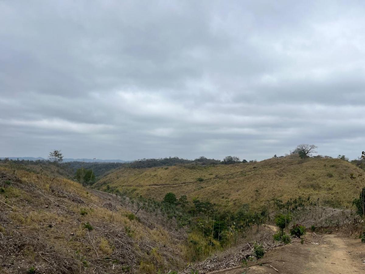 Vendo Terreno Agroforestal en El Sector de Santa Elena — imagen 9