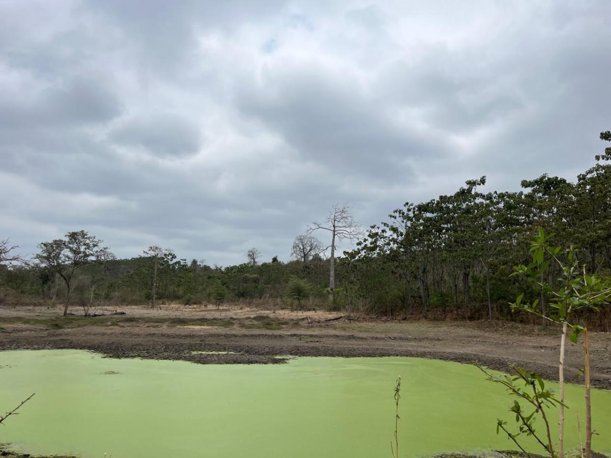Vendo Terreno Agroforestal en El Sector de Santa Elena — imagen 8
