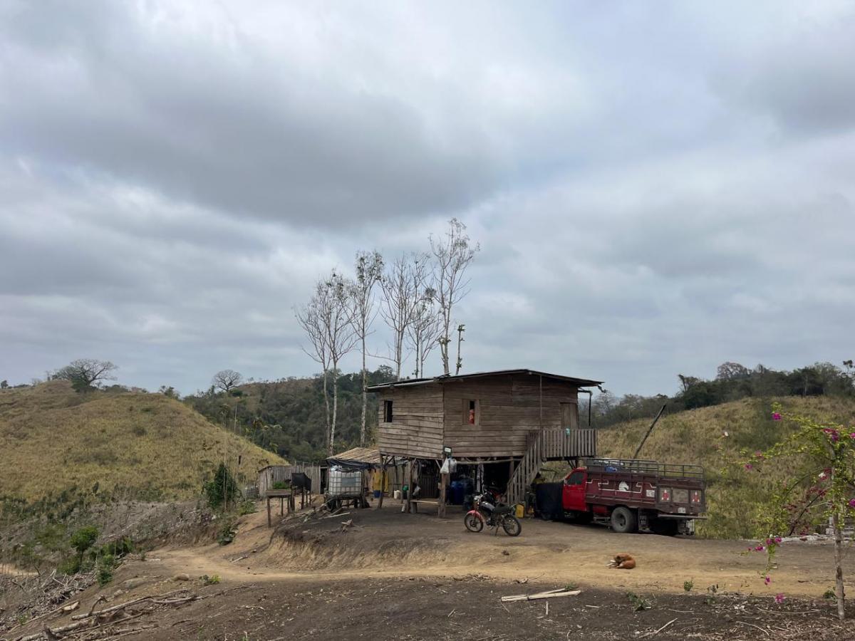 Vendo Terreno Agroforestal en El Sector de Santa Elena — imagen 7