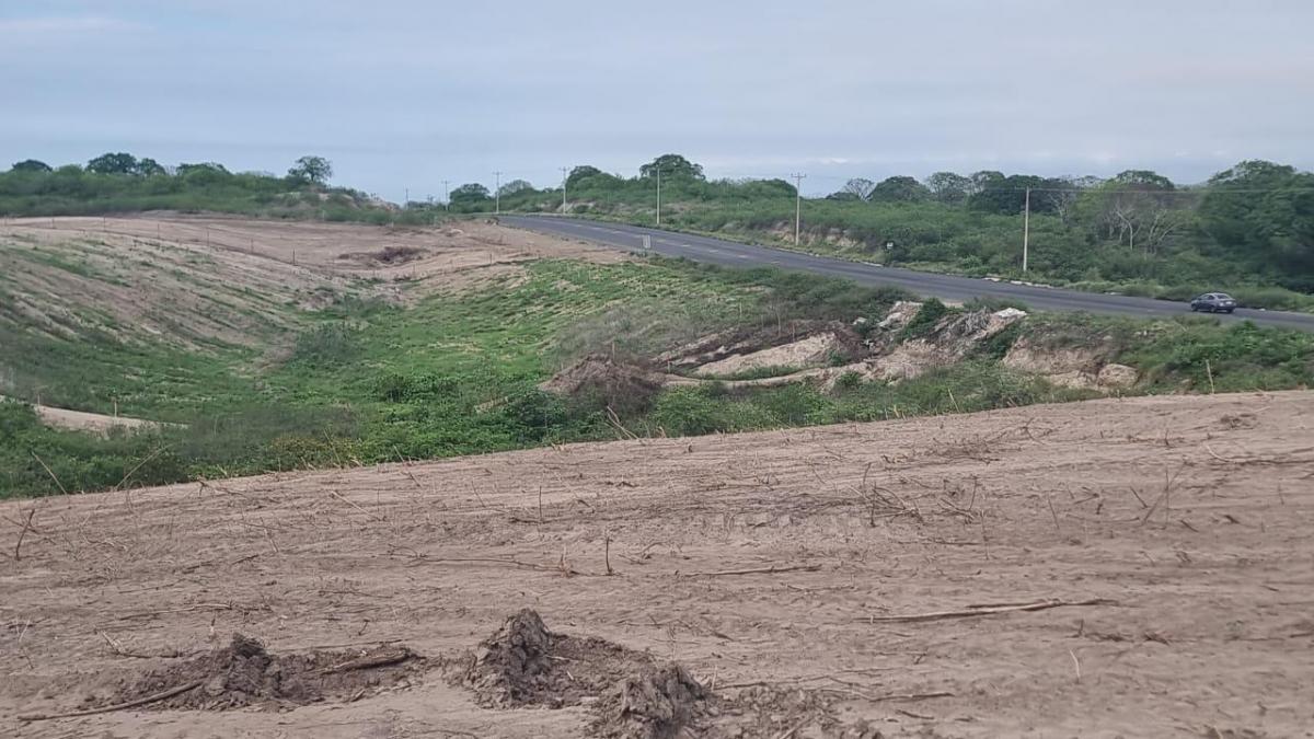 Macrolote, Manabí — imagen 7