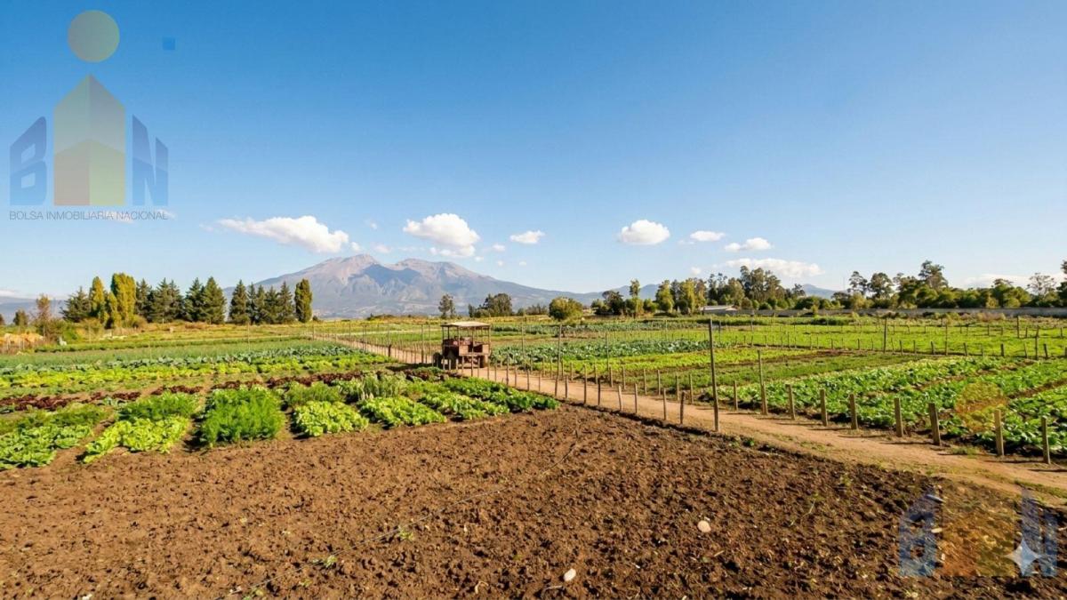 Terreno - Tababela — imagen 10