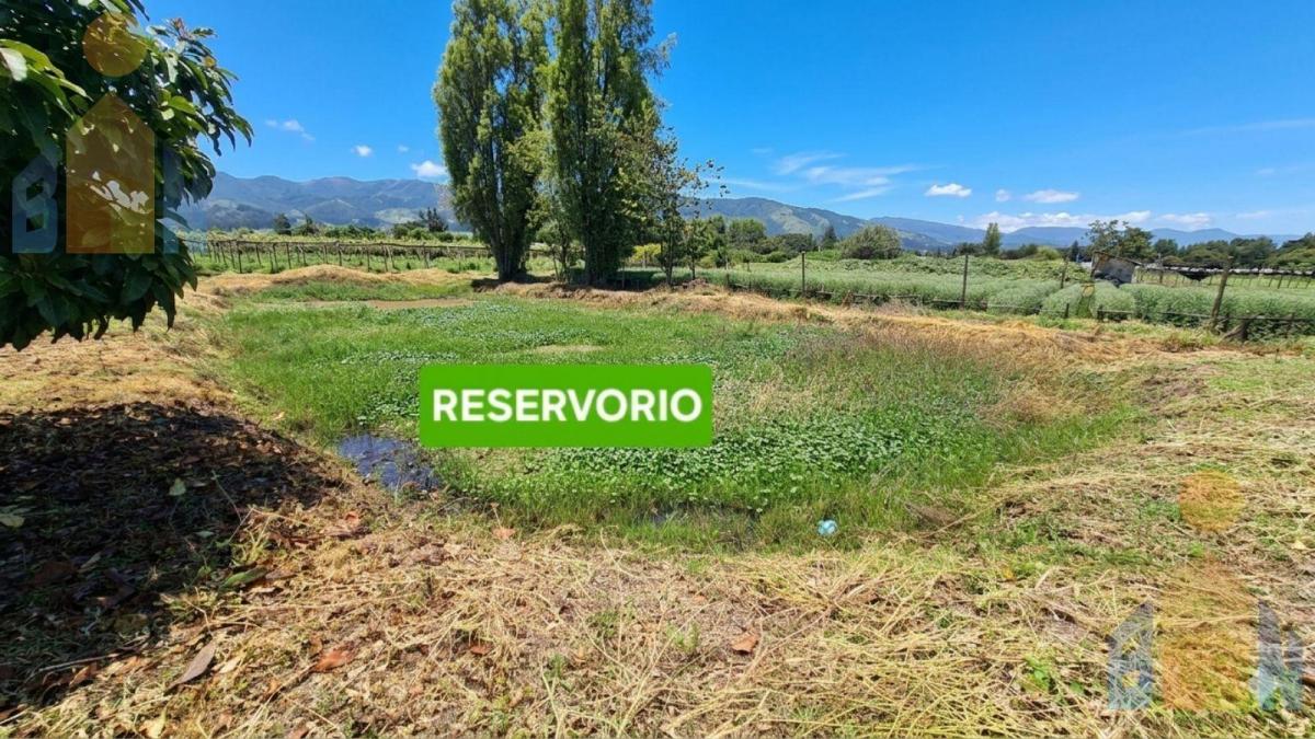 Terreno - Tababela — imagen 7