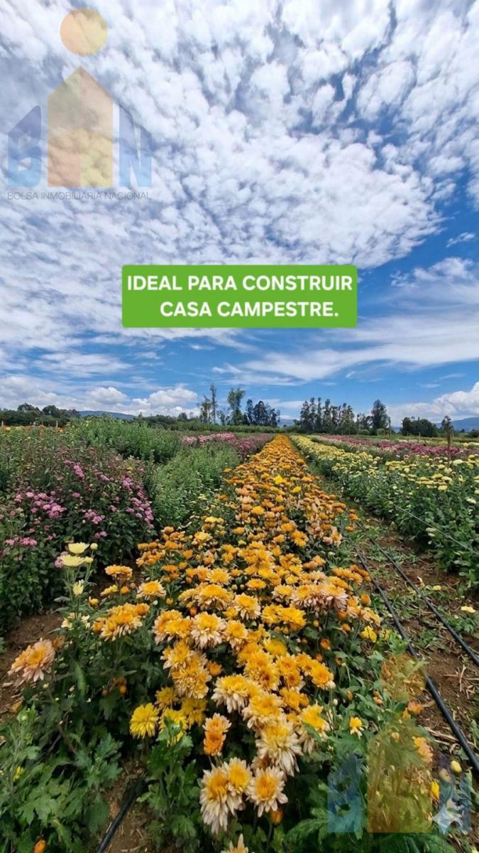 Terreno - Tababela — imagen 6