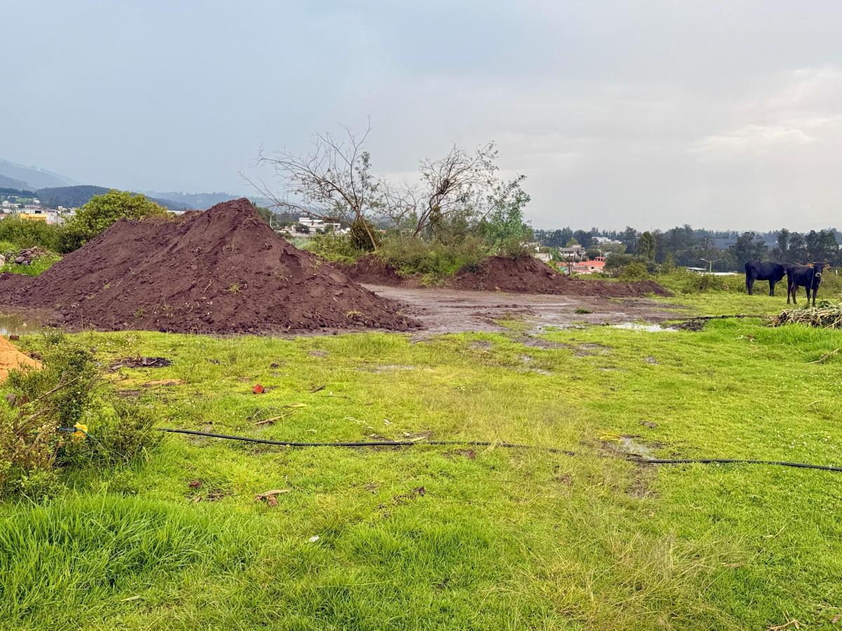 Vendo Terreno de 1 Has en Tababela (Redondel Aeropuerto y Vía Pifo El Quinche) — imagen 9