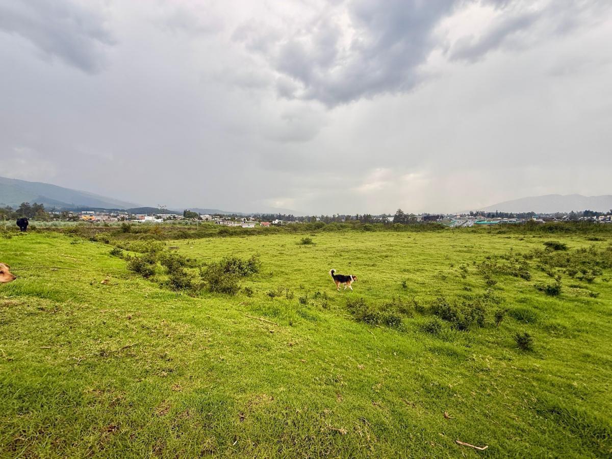 Vendo Terreno de 1 Has en Tababela (Redondel Aeropuerto y Vía Pifo El Quinche) — imagen 8