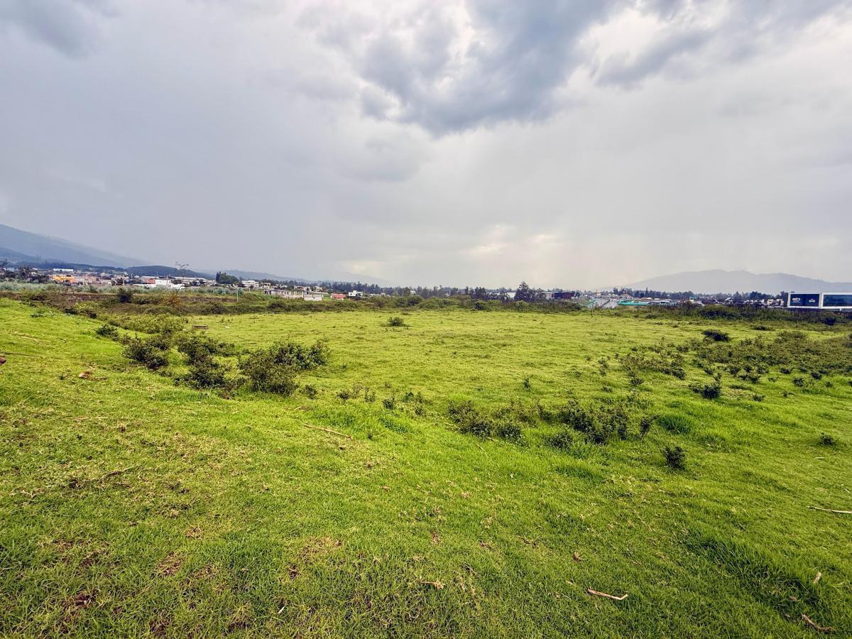 Vendo Terreno de 1 Has en Tababela (Redondel Aeropuerto y Vía Pifo El Quinche) — imagen 7
