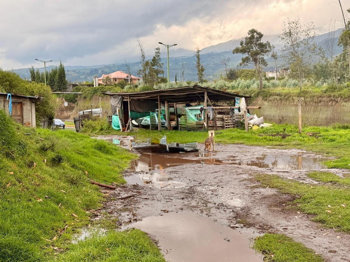 Vendo Terreno de 1 Has en Tababela (Redondel Aeropuerto y Vía Pifo El Quinche) — imagen 6
