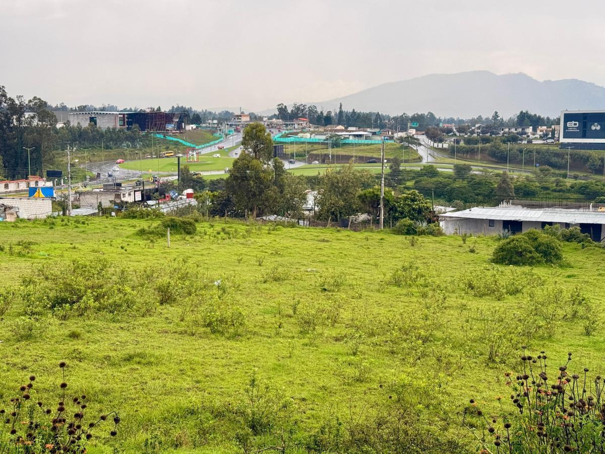 Vendo Terreno de 1 Has en Tababela (Redondel Aeropuerto y Vía Pifo El Quinche) — imagen 2