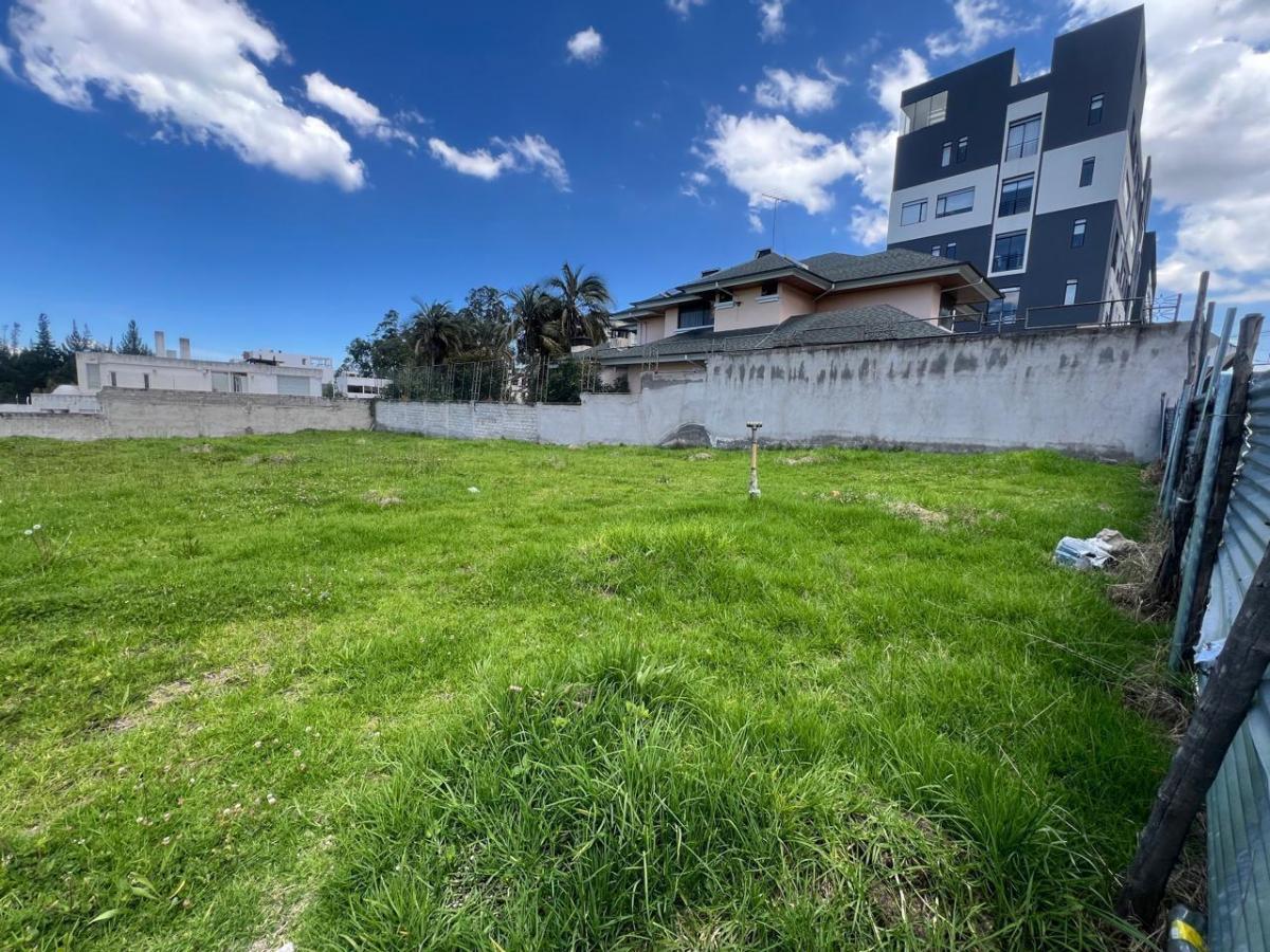Terreno en Monteserrín — imagen 10