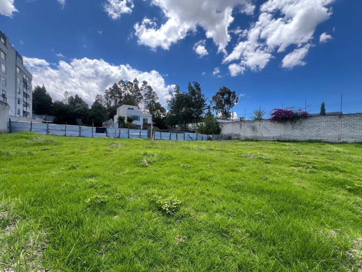 Terreno en Monteserrín — imagen 9
