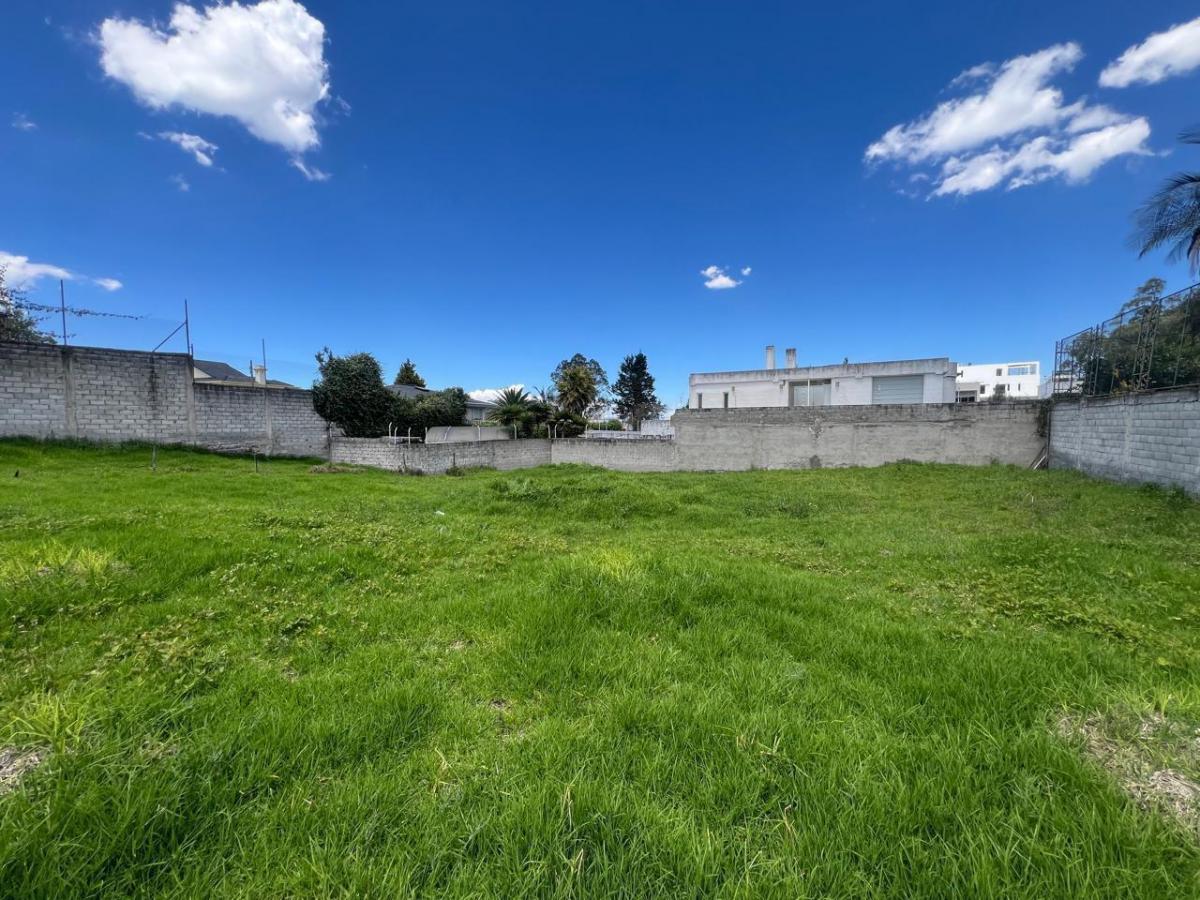 Terreno en Monteserrín — imagen 8